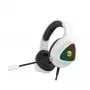Ausinės „Canyon Shadder GH-6“