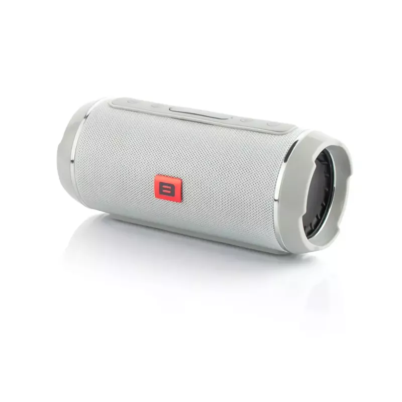 Nešiojamas monokolonėlė BLOW BT-460 PILKA