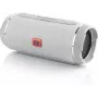 Nešiojamas monokolonėlė BLOW BT-460 PILKA