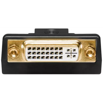 Goobay DisplayPort/DVI-D adapteris 1.1 auksuotas juodas