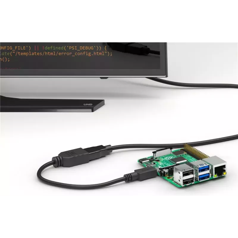 HDMI adapteris Wentronic 58683 0,15 m Type D Micro į Type A standartinis juodas