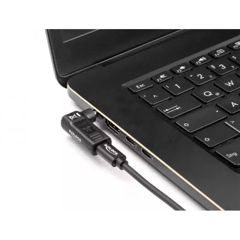 DeLOCK 60011 USB-C į 5,5 x 2,5 mm adapteris nešiojamam kompiuteriui, 19 V 3 A