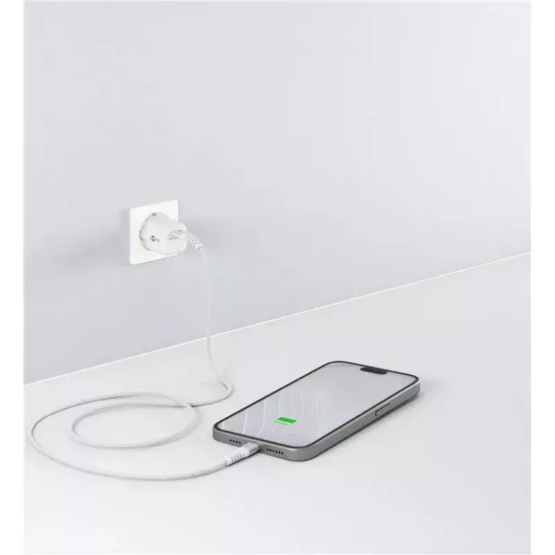 Goobay USB 2.0 laidas USB-C į USB-C 0,5 m 0,48 Gbit/s