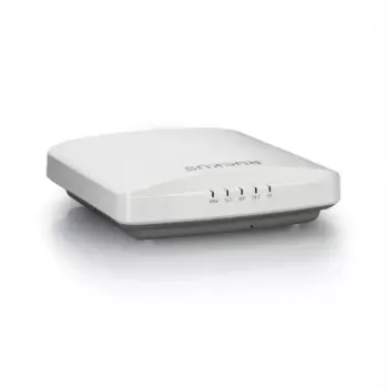 Bevielis prieigos taškas RUCKUS Networks 901-R550-WW00 2.4 GHz 5 GHz