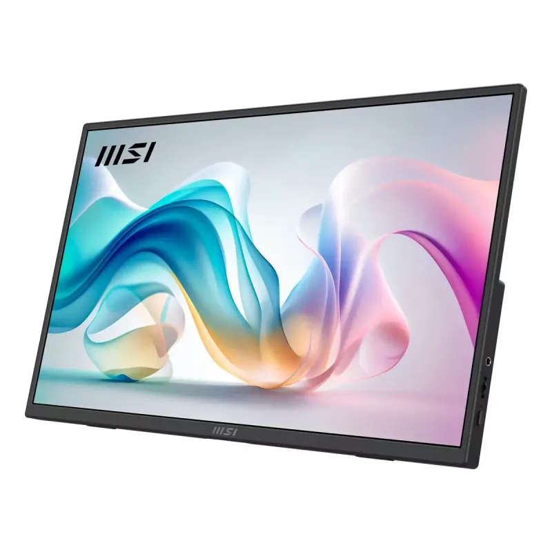 Nešiojamas monitorius MSI PRO MP165DE E6 15.6 colio Full HD IPS 1920×1080 USB-C HDMI VESA juodas