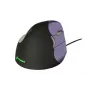 BakkerElkhuizen Evoluent 4 Small, dešinei rankai, vertikalus dizainas, lazerinis, USB Type-A, 2600 DPI, juoda, violetinė