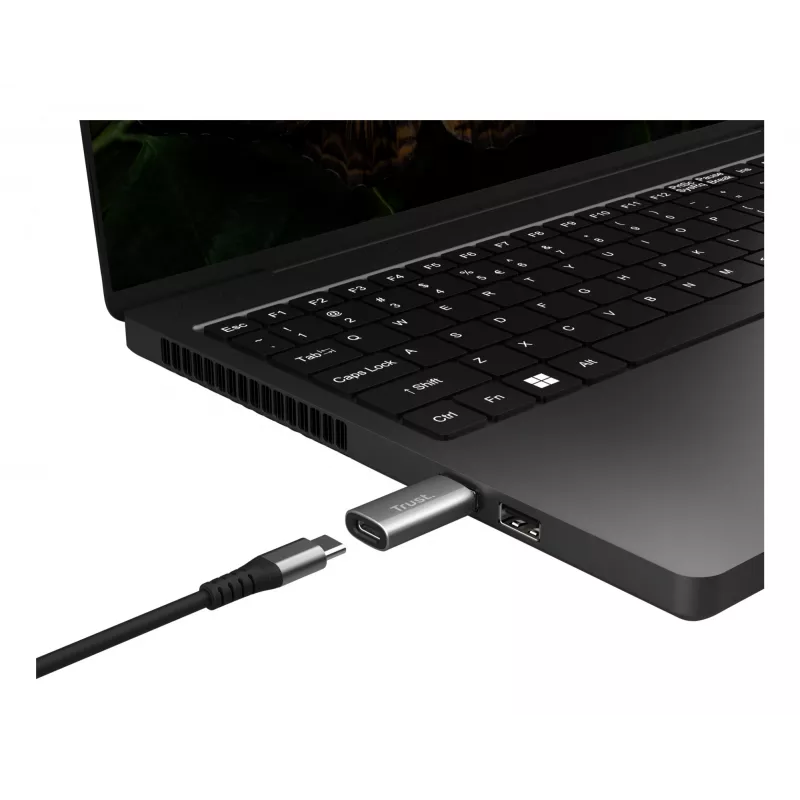 Trust Calyx USB-A į USB-C adapteris (2 vnt.) pilka