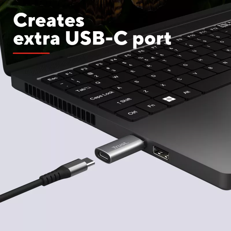 Trust Calyx USB-A į USB-C adapteris (2 vnt.) pilka
