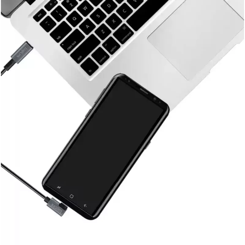 LogiLink CU0182 USB 2.0 laidas USB-C 1 m, juodas/sidabrinis