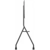 Mobilus stovas dideliems ekranams ViewSonic VB-STND-009, 2,67 m (105 col.), juodas, sidabrinis