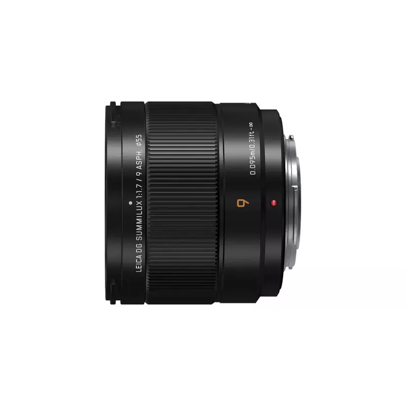 Itin plataus kampo objektyvas Panasonic H-X09 12 elementų 0,25x juodas