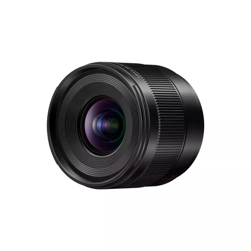 Itin plataus kampo objektyvas Panasonic H-X09 12 elementų 0,25x juodas