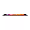 Skaidrus grūdinto stiklo apsauginis stikliukas Belkin Screenforce iPad Air 3 / iPad 7th gen / iPad Pro 10,5