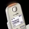DECT belaidis telefonas Panasonic KX-TGE262GN su dviem rageliais, garsiakalbiu ir skambučio ID