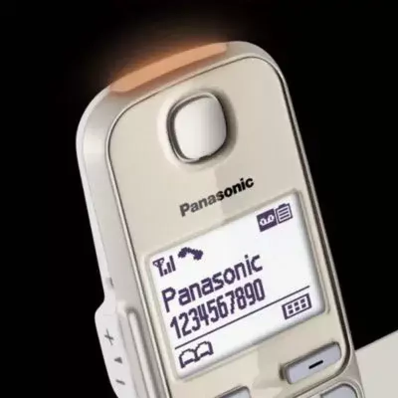 DECT belaidis telefonas Panasonic KX-TGE262GN su dviem rageliais, garsiakalbiu ir skambučio ID