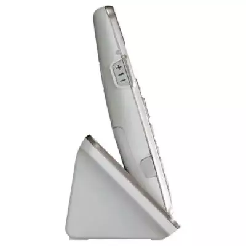 DECT belaidis telefonas Panasonic KX-TGE262GN su dviem rageliais, garsiakalbiu ir skambučio ID