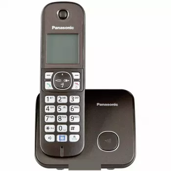 DECT telefonas Panasonic KX-TG6811GA rudas