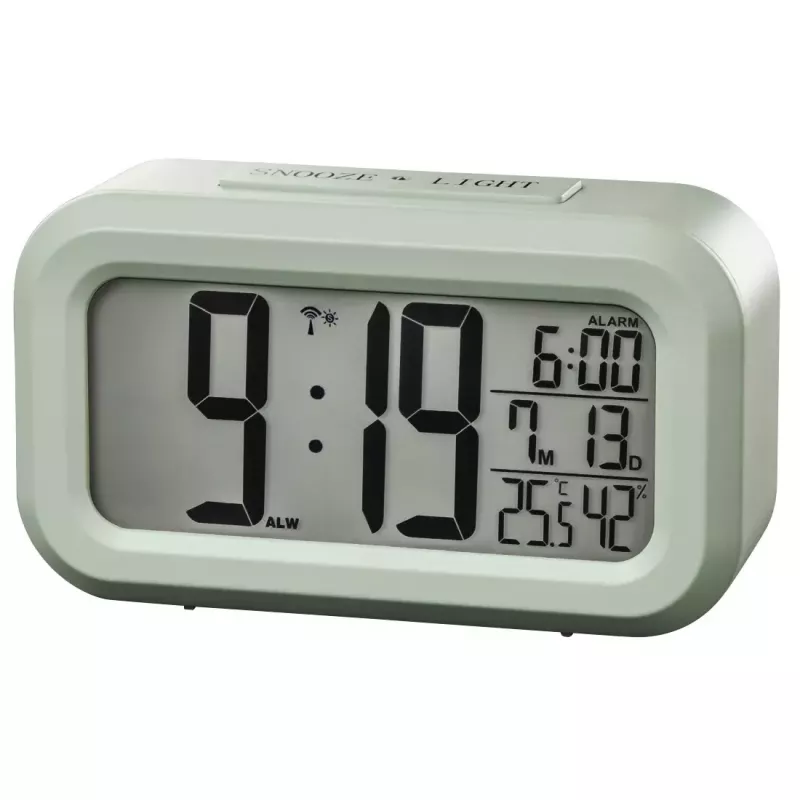 Hama RC 660 Skaitmeninis žadintuvas Mėtų spalva