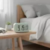 Hama RC 660 Skaitmeninis žadintuvas Mėtų spalva