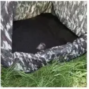 Fotografavimo rinkinys Walimex 16345 Įvairiaspalvis Aliuminis Poliesteris 1,7 kg