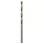 Gręžtuvas Bosch Metal HSS-G DIN 338 4 mm 2 vnt.