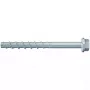 Fischer 536856 varžtas 110 mm 50 vnt.
