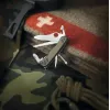 Daugiafunkcis peilis Victorinox Swiss Soldier's Knife 08