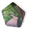 Garsų mašina Olympia Sounds of Nature, balta, kompaktiška 135×30×130 mm