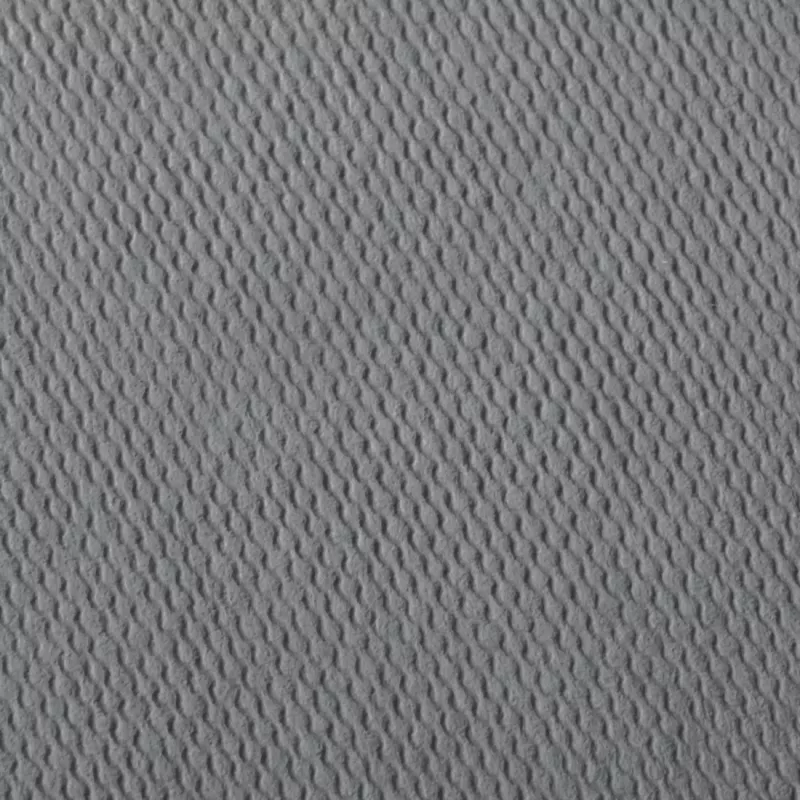 Hama 00009836 fotoalbumas pilkas 50 lapų 10x15 spiralinis įrišimas