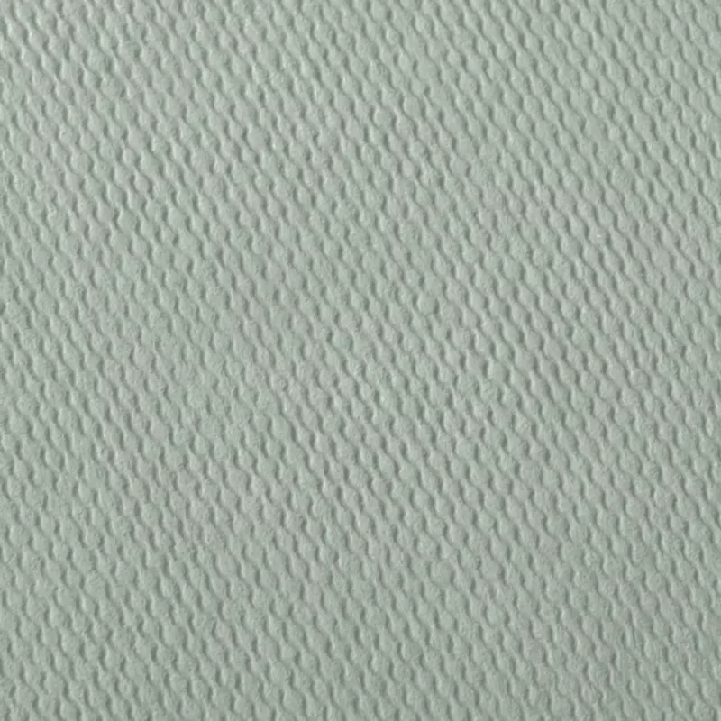 Hama 00009866 fotoalbumas žalias 50 lapų spiralinis įrišimas