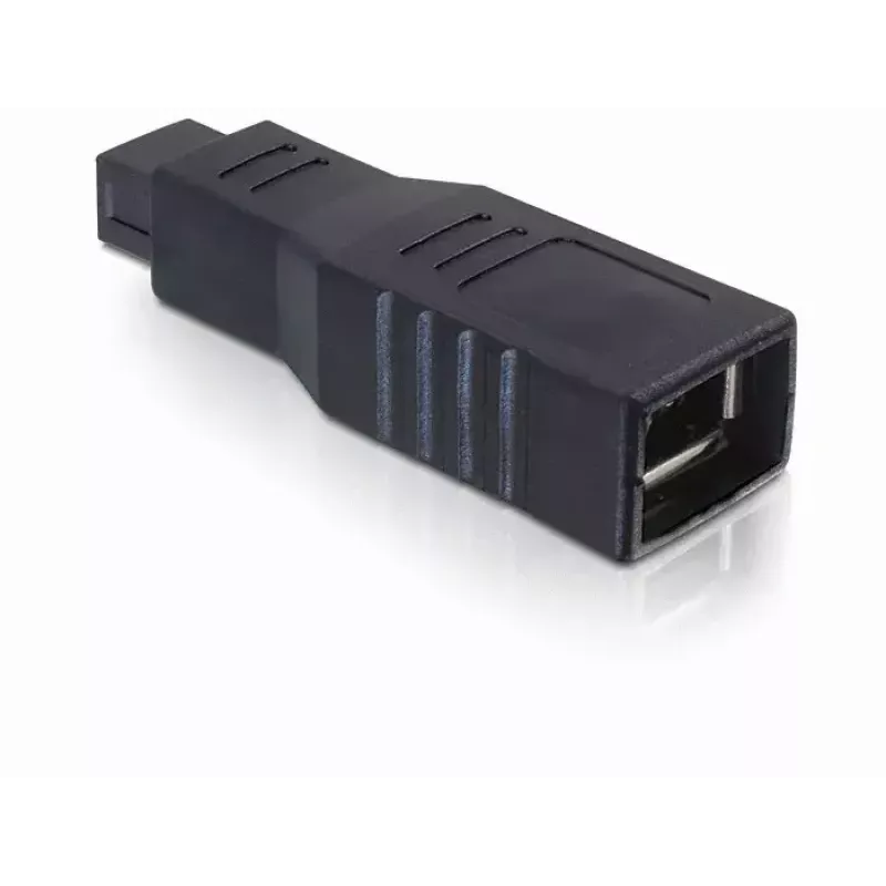 DeLOCK 65154 lyties keitiklis FireWire 9 kontaktų į 6 kontaktų