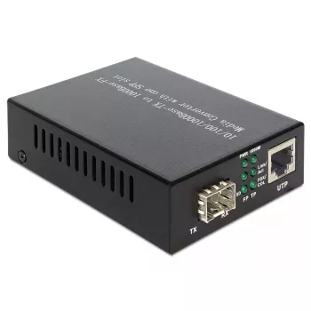 DeLOCK 1000Base-T į SFP 1000 Mbit/s juodas