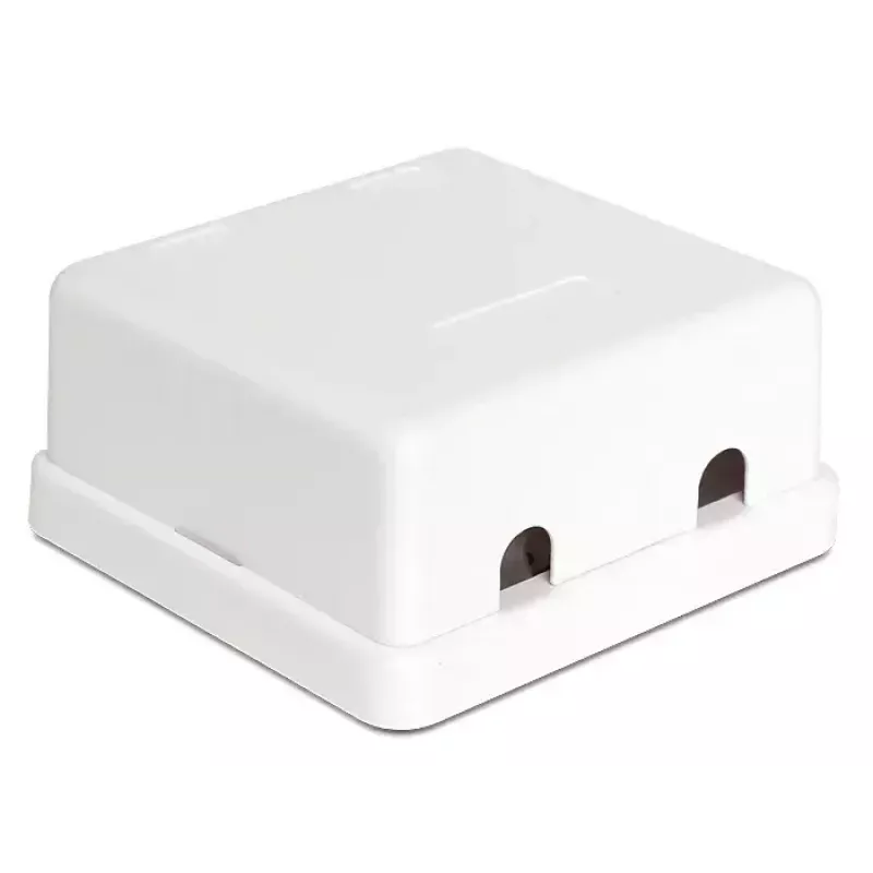 Jungiamoji dėžutė DeLOCK 86207 2x Keystone balta