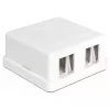 DeLOCK 86207 tuščia ant sienos montuojama Keystone dėžutė, 2 prievadai, balta