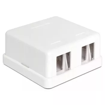 Jungiamoji dėžutė DeLOCK 86207 2x Keystone balta