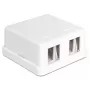 Jungiamoji dėžutė DeLOCK 86207 2x Keystone balta