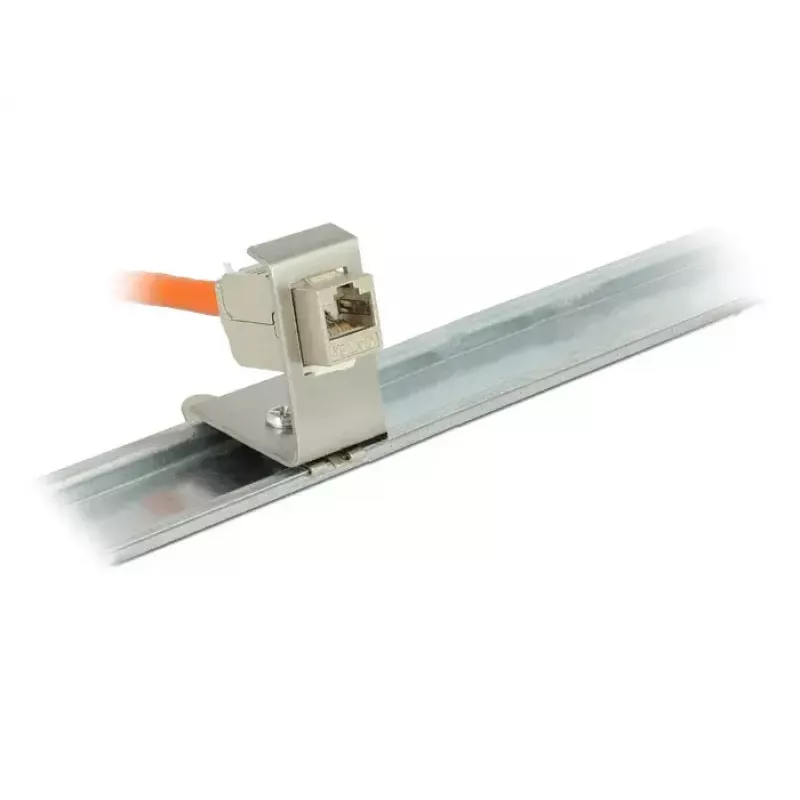 Laikiklis Keystone moduliui ant DIN bėgio DeLOCK 86259