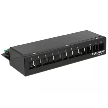 Patch Panel DeLOCK 43339 – 12 lizdų Keystone moduliams, metalinis