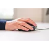 BakkerElkhuizen Oyster Wired pelė, ambidekstrinė, vertikalaus dizaino, lazerinė, USB-A, 1200 DPI, juoda, sidabrinė