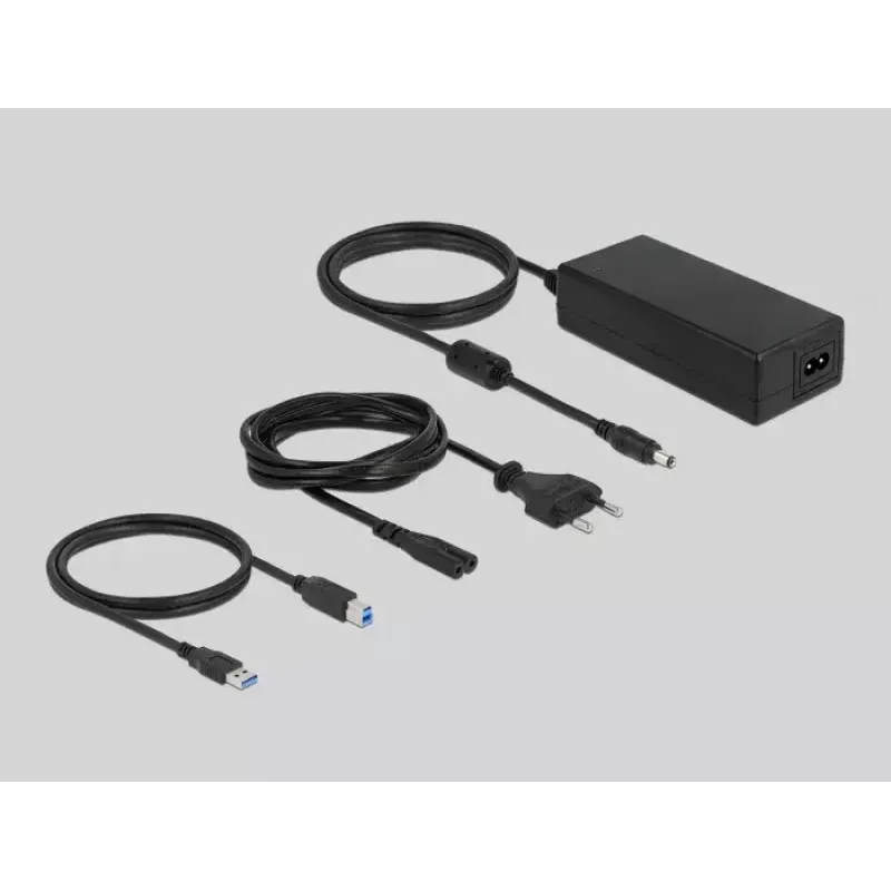 USB šakotuvas DeLOCK 63739