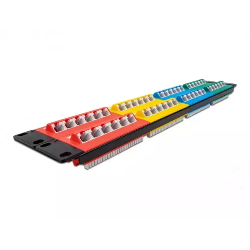 DeLOCK 19 colių skydinė plokštė 48 prievadai Cat.5e 2U spalvota RJ-45