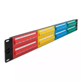 DeLOCK 19 colių skydinė plokštė 48 prievadai Cat.5e 2U spalvota RJ-45