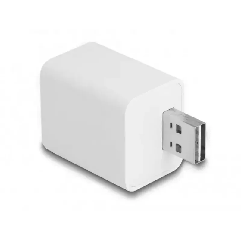 „Smart Plug“ DeLOCK 11828 vidinis Wi-Fi 2A baltas
