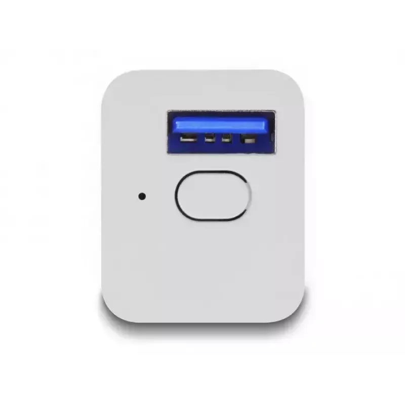 „Smart Plug“ DeLOCK 11828 vidinis Wi-Fi 2A baltas