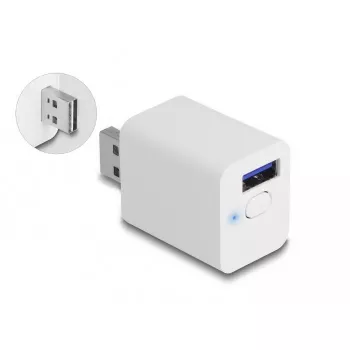 „Smart Plug“ DeLOCK 11828 vidinis Wi-Fi 2A baltas