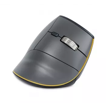BakkerElkhuizen FastForward pelė, dešinei rankai, vertikalus dizainas, optinė, RF belaidė + Bluetooth + USB Type-C, 500 DPI, pilka