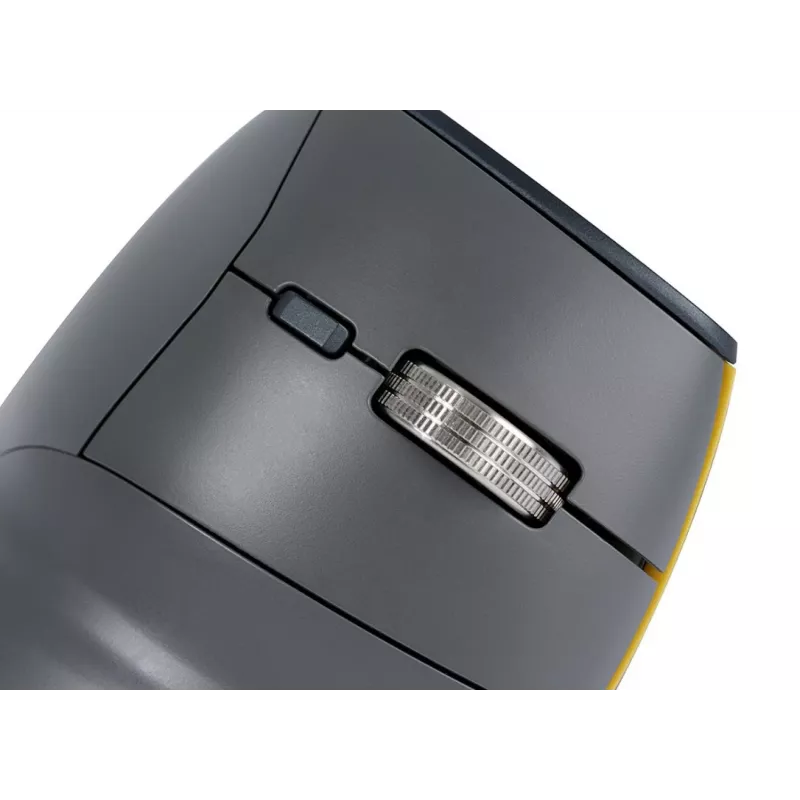 BakkerElkhuizen FastForward pelė, dešinei rankai, vertikalus dizainas, optinė, RF belaidė + Bluetooth + USB Type-C, 500 DPI, pilka