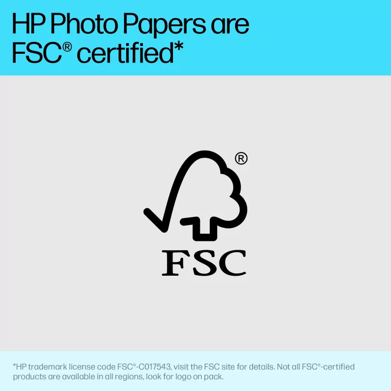 HP Advanced Photo Paper Glossy blizgus fotopopierius 65 lb 4 x 12 col. (101 x 305 mm) 10 lapų