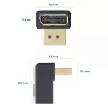 InLine DisplayPort adapteris, DisplayPort kištukas / lizdas, žemyn nukreiptas