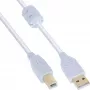 InLine USB 2.0 laidas A tipo kištukas / B tipo kištukas, auksuoti kontaktai, su feritu, baltas, 0,5 m